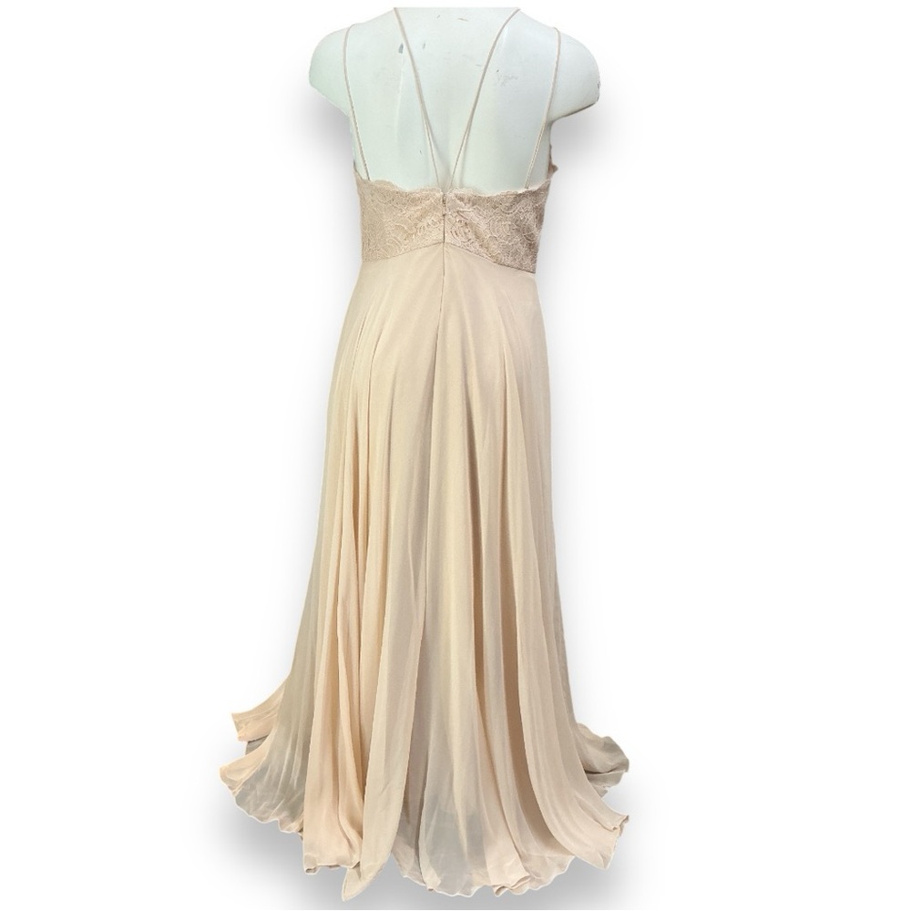 NWT Dessy dress gown formal prom sleeveless lace Vintage blush sheer Fits: 8 10